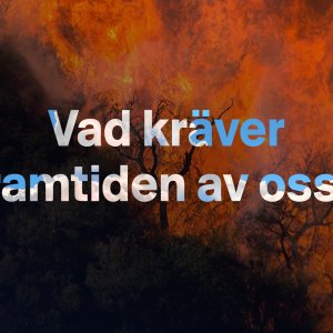 Föreläsning och workshop, Roxy Farhat